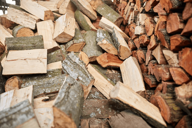 Smoke Wood: Beech