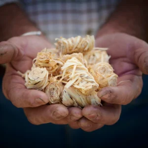 Woodwool Firelighters 1x Box (50 in total)